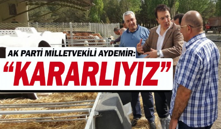 AK PART MLLETVEKL AYDEMR: KARARLIYIZ