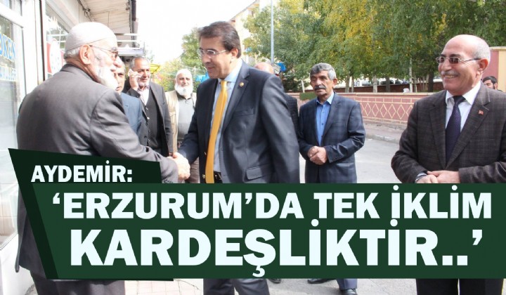 AYDEMR: ERZURUMDA TEK KLM KARDELKTR..