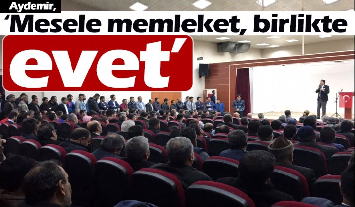Aydemir, Mesele memleket, birlikte evet