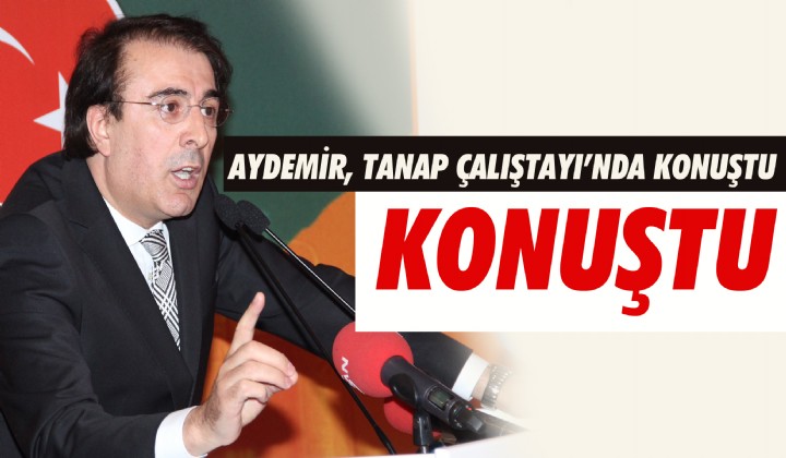 AYDEMR, TANAP ALITAYINDA KONUTU