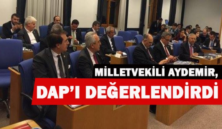 MLLETVEKL AYDEMR, DAPI DEERLENDRD