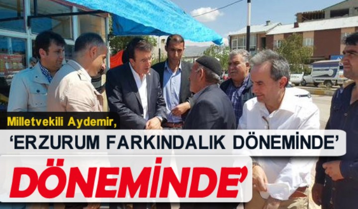 MLLETVEKL AYDEMR: ERZURUM FARKINDALIK DNEMNDE