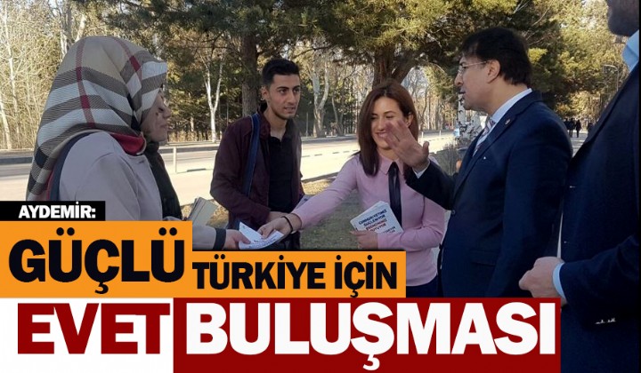 Aydemir: 16 Nisan milli iradeye sadakat gndr