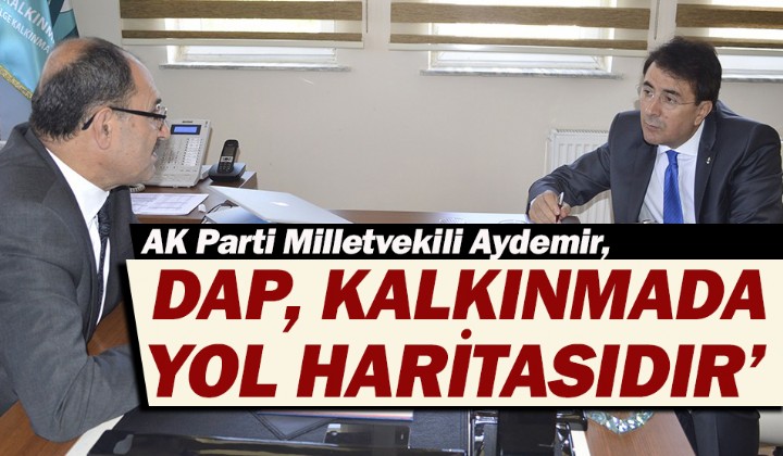 AYDEMR: DAP, KALKINMADA YOL HARTASIDIR