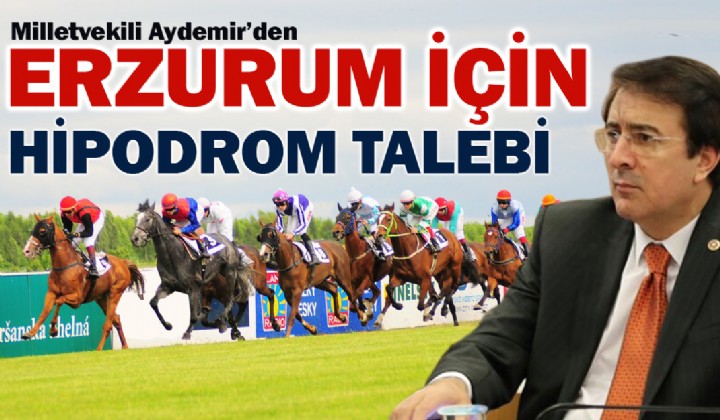 AYDEMRDEN ERZURUM N HPODROM TALEB