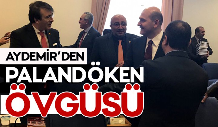 AYDEMRDEN PALANDKEN VGS
