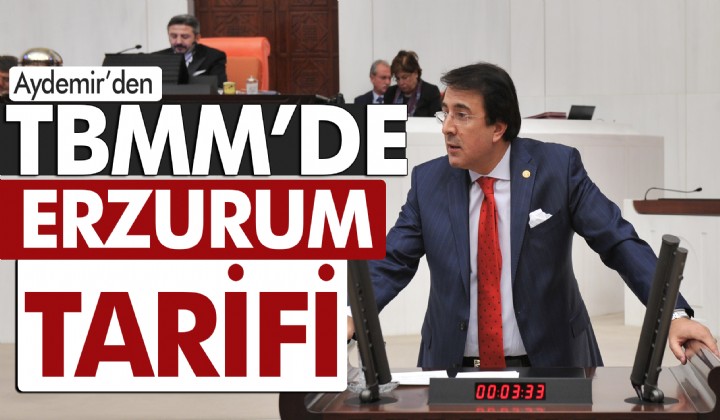 Aydemirden TBMMde Erzurum tarifi