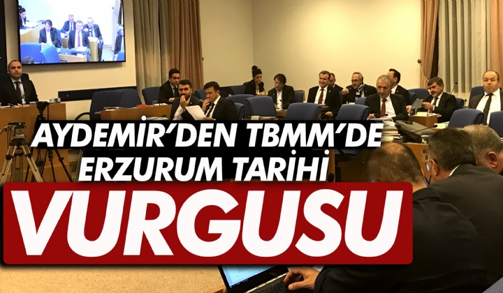 Aydemirden TBMMde Erzurum Tarihi vurgusu