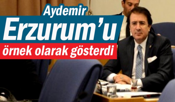 Aydemir Erzurumu rnek olarak gsterdi
