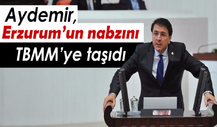 Aydemir, Erzurumun nabzn TBMMye tad