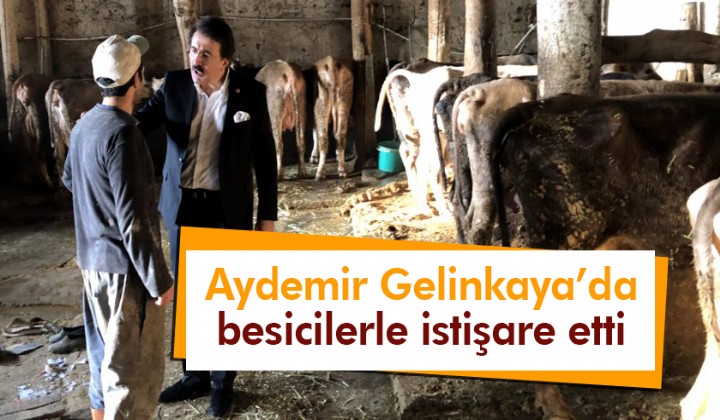 Aydemir Gelinkayada besicilerle istiare etti