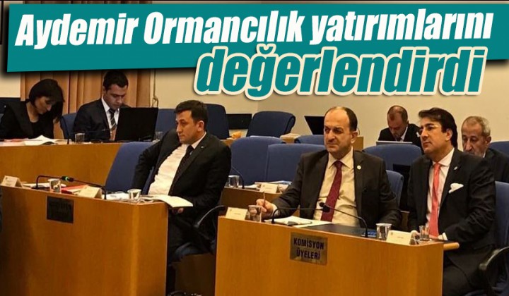 Aydemir Ormanclk yatrmlarn deerlendirdi